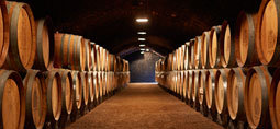 France Luxury tour: Burgundy Wine & Medieval Tour — Burgundy — Côte d'Or & Côte Chalonnaise - Photo 4
