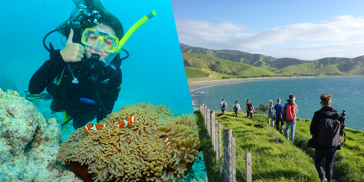 East Coast Explorer 6 Week + New Zealand Tour COMBO