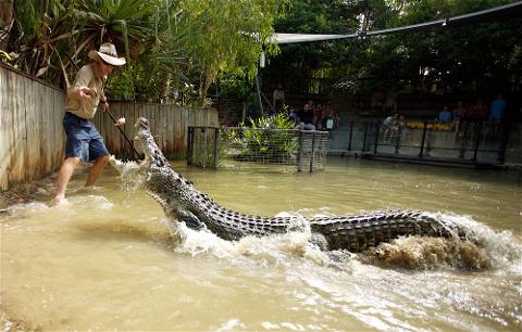 AM : Hartley's Crocodile Adventures+Transfer(BMG)