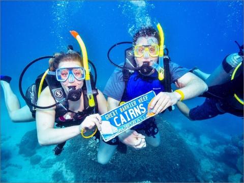 Down Under Cruise and Dive