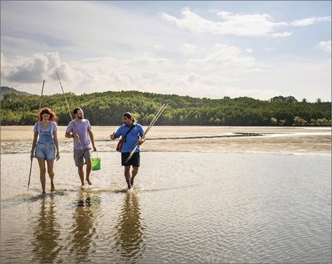 Daintree Dreaming - Downunder Tours
