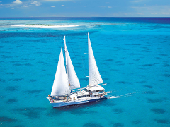 Ocean Spirit Cruises - Michaelmas Cay