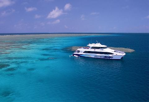 Down Under Cruise and Dive
