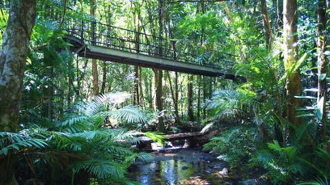 Active Tropics Explorer Day Tour