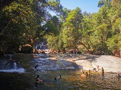 Barefoot Tours - Atherton Tablelands Waterfalls Day Tour