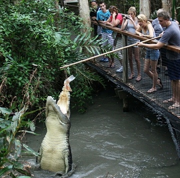 AM : Hartley's Crocodile Adventures+Transfer(BMG)
