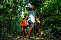 Daintree Tours - Daintree Rainforest Tour (Day Tour)