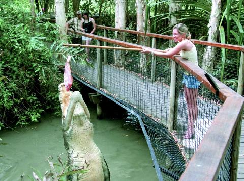 AM : Hartley's Crocodile Adventures+Transfer(BMG)