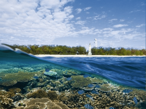 Lady Elliot Island Scenic Flight Day Tour