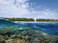 Lady Elliot Island Scenic Flight Day Tour