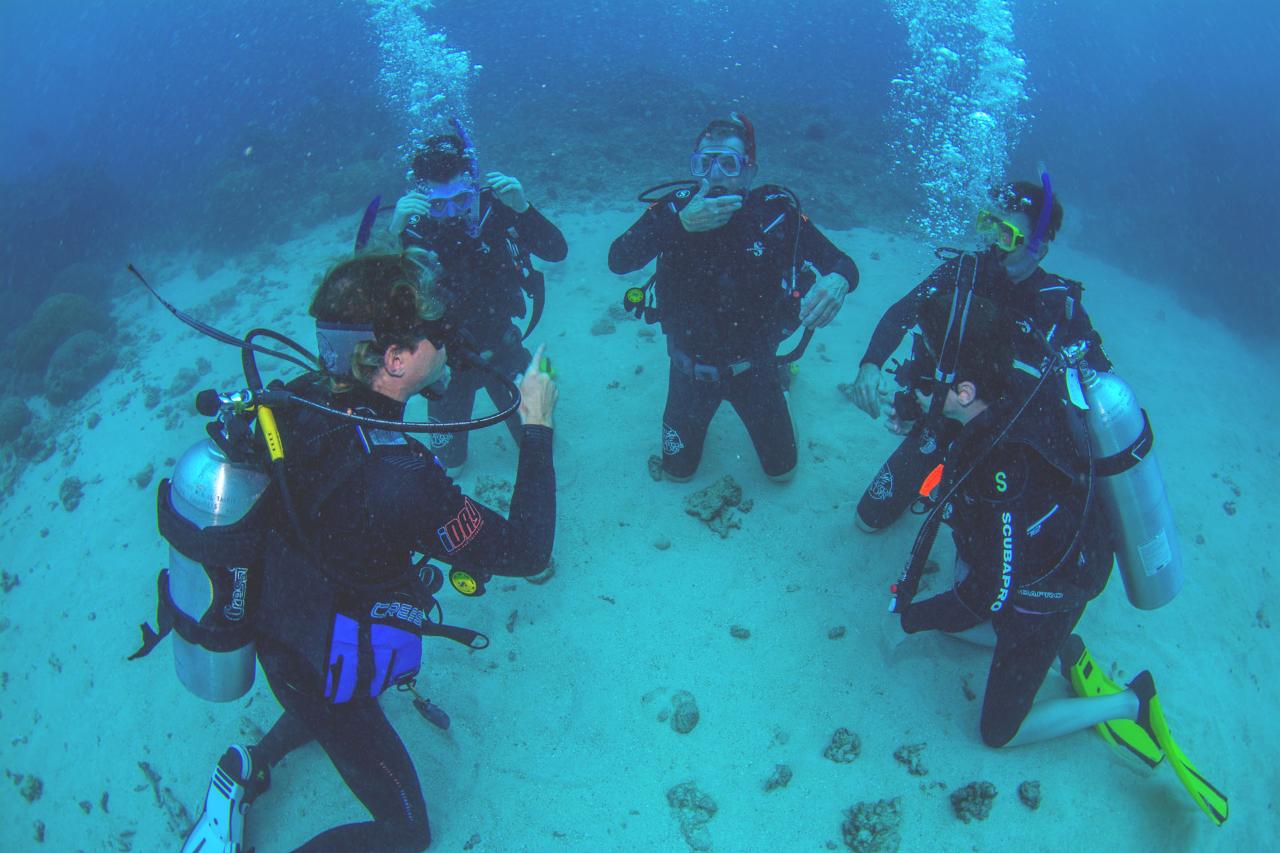 4-Day PADI Open Water Course