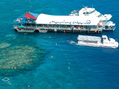 Reef Magic Cruises