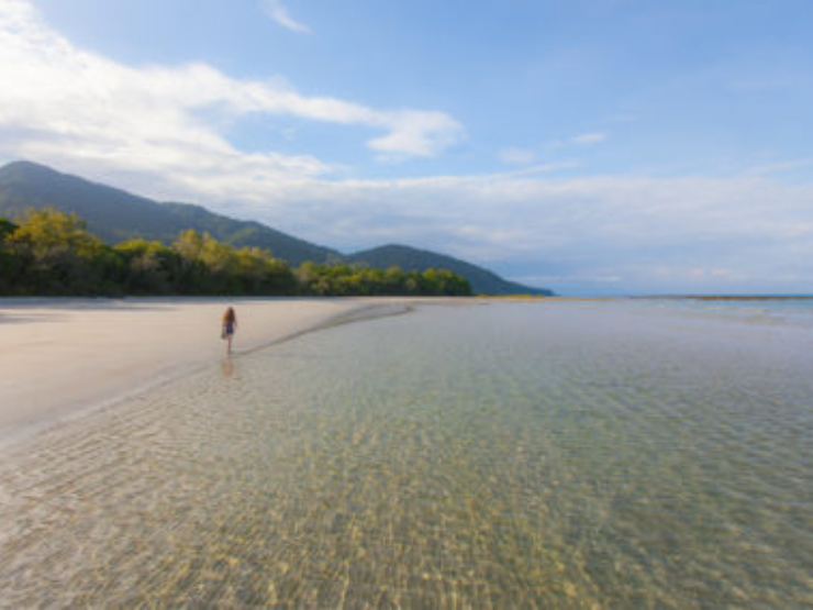 Daintree & Cape Tribulation Tours