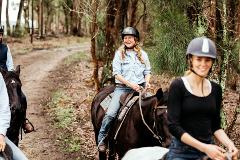 Blackwood Forest Ride