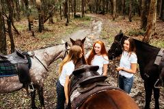 Canebrake Pool Ride
