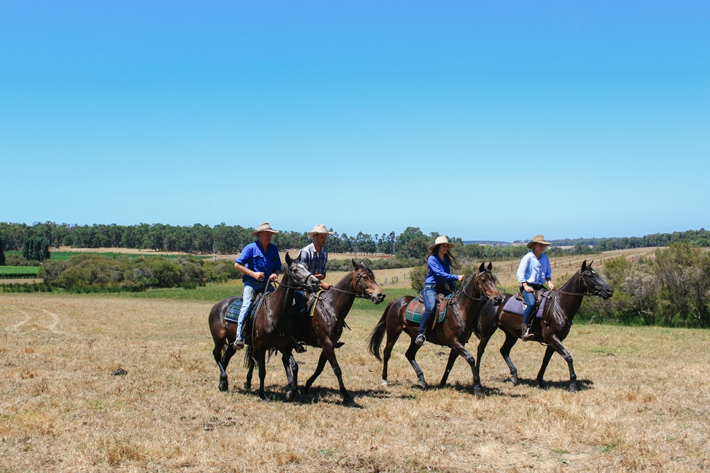The Long Paddock Ride