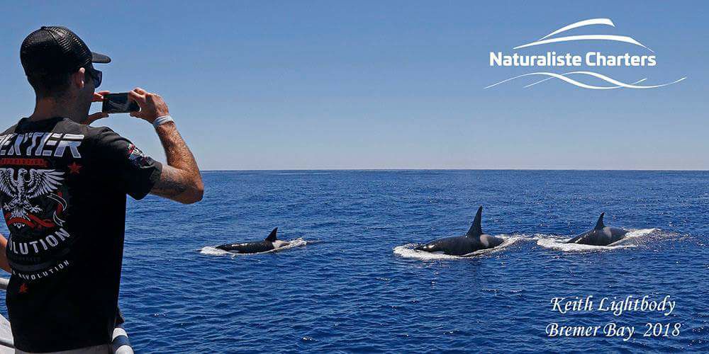 Killer Whale Expedition