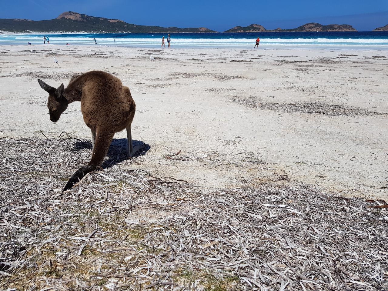 Explore Esperance