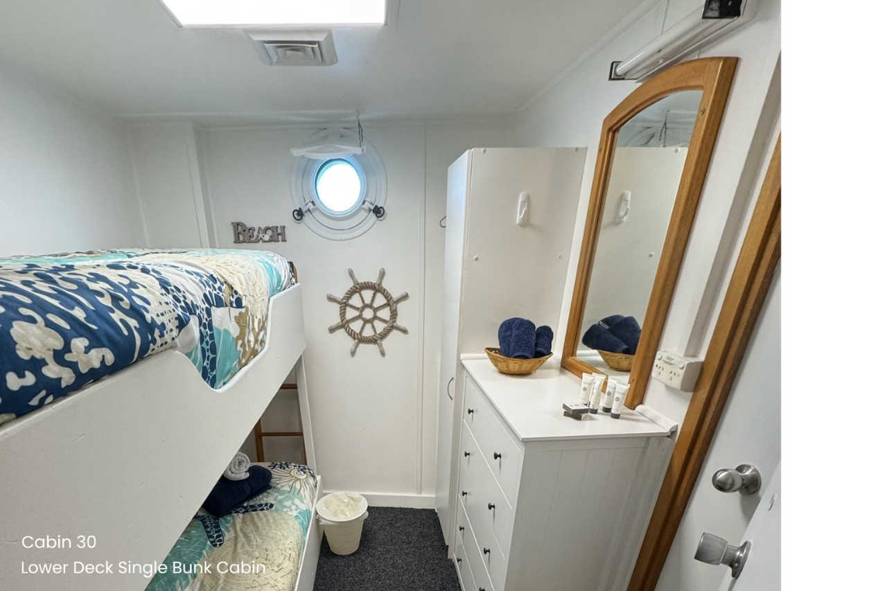 Cabin 30 - Broome to Wyndham - Single Bunk Cabin on the Lower Deck - Solo Use - Kimberley 13 Night Adventure Cruise