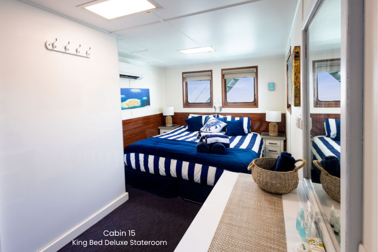  Cabin 15 - Broome to Wyndham - King Bed Deluxe Stateroom on the Bridge Deck - Kimberley 13 Night Adventure Cruise