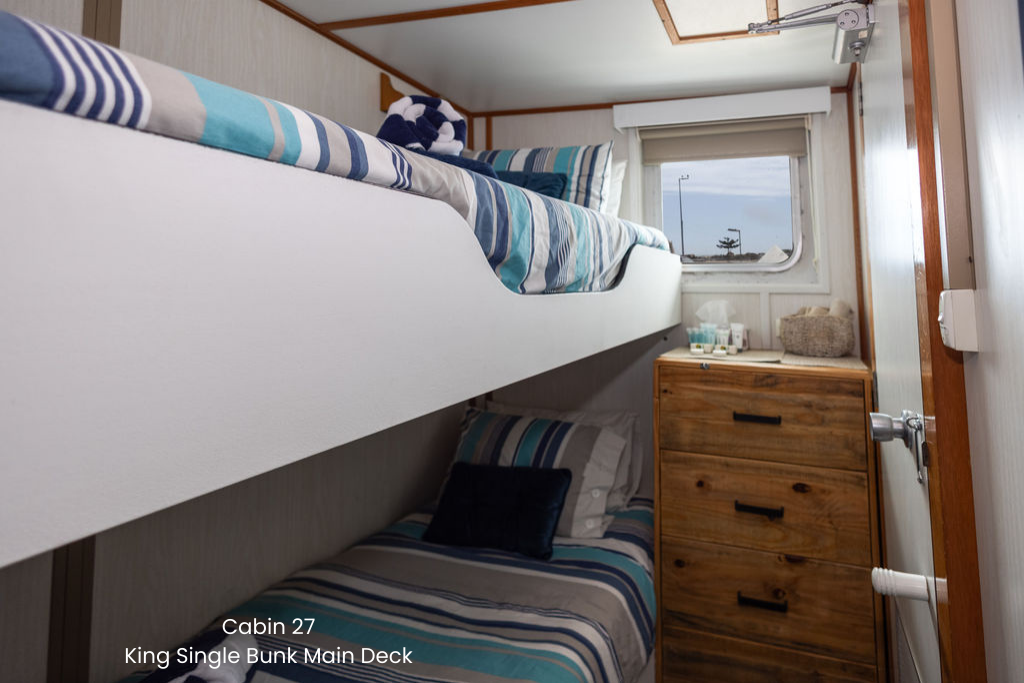 Cabin 27 - King Single Bunk Cabin on the Main Deck - Abrolhos Islands Cruise - Fly out & Boat back