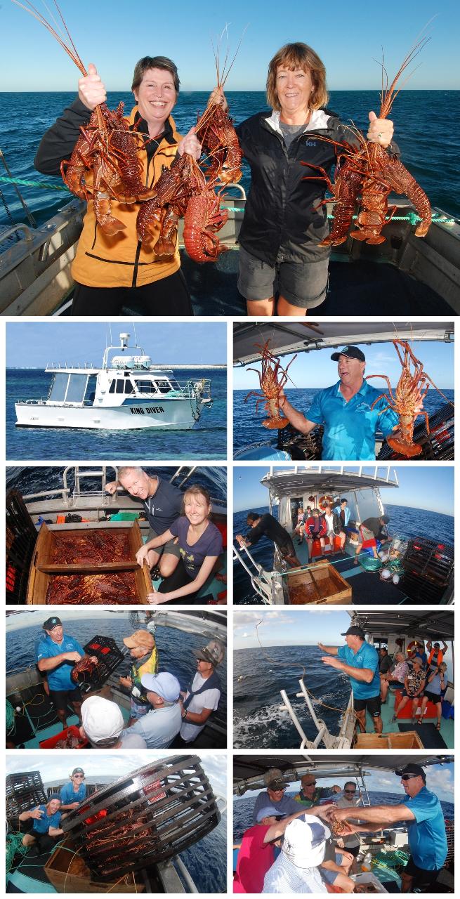 Geraldton Lobster Pot Pull