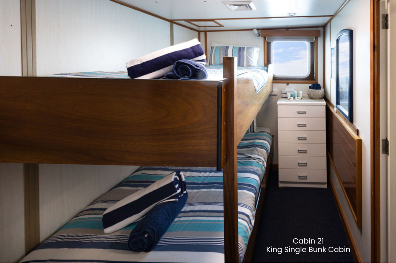 Cabin 21 - King Single Bunk Cabin on the Main Deck - Abrolhos Islands Cruise - Fly out & Boat back