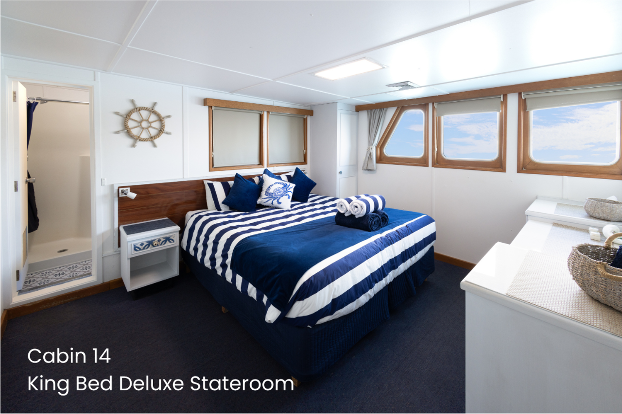 Cabin 14 - Wyndham to Broome - King bed Deluxe Stateroom on the Bridge Deck - Kimberley 13 Night Adventure Cruise