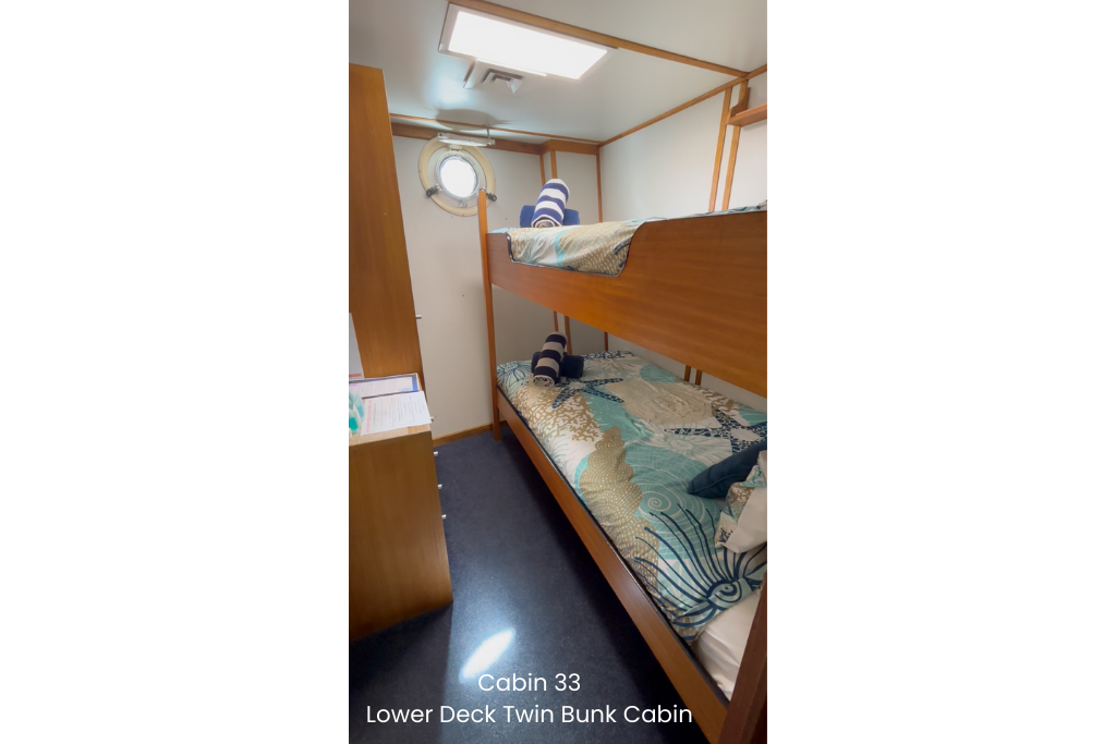 Cabin 33 - Single Bunk Cabin on the Lower Deck - Twin Share - Abrolhos Islands Cruise - Boat out & Boat back