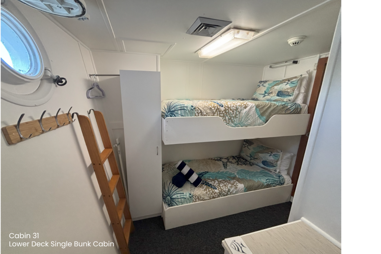 Cabin 31 - Single Bunk Cabin on the Lower Deck - Solo - Abrolhos Islands Cruise Boat out & Boat back