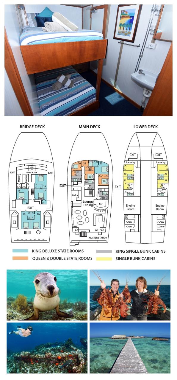 King Single Internal Bunk Cabin on the Main Deck - Cabin 24 - Abrolhos Islands 5 Day Tour - Boat out & back