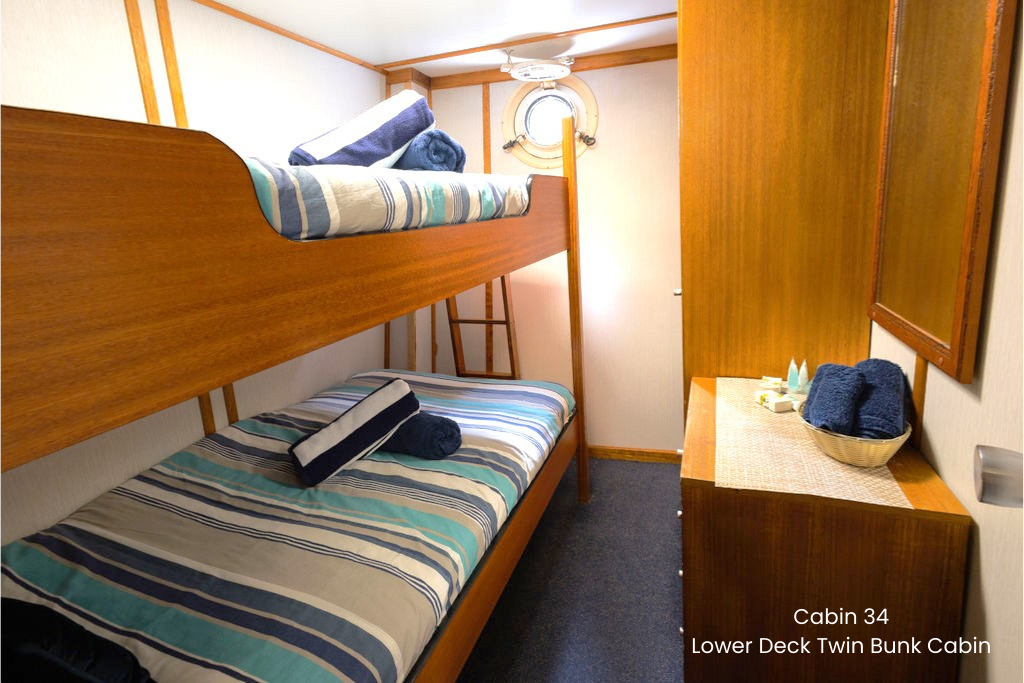 Cabin 34 - Single Bunk Cabin on the Lower Deck - Twin Share - Abrolhos Islands Cruise - Boat out & Fly back