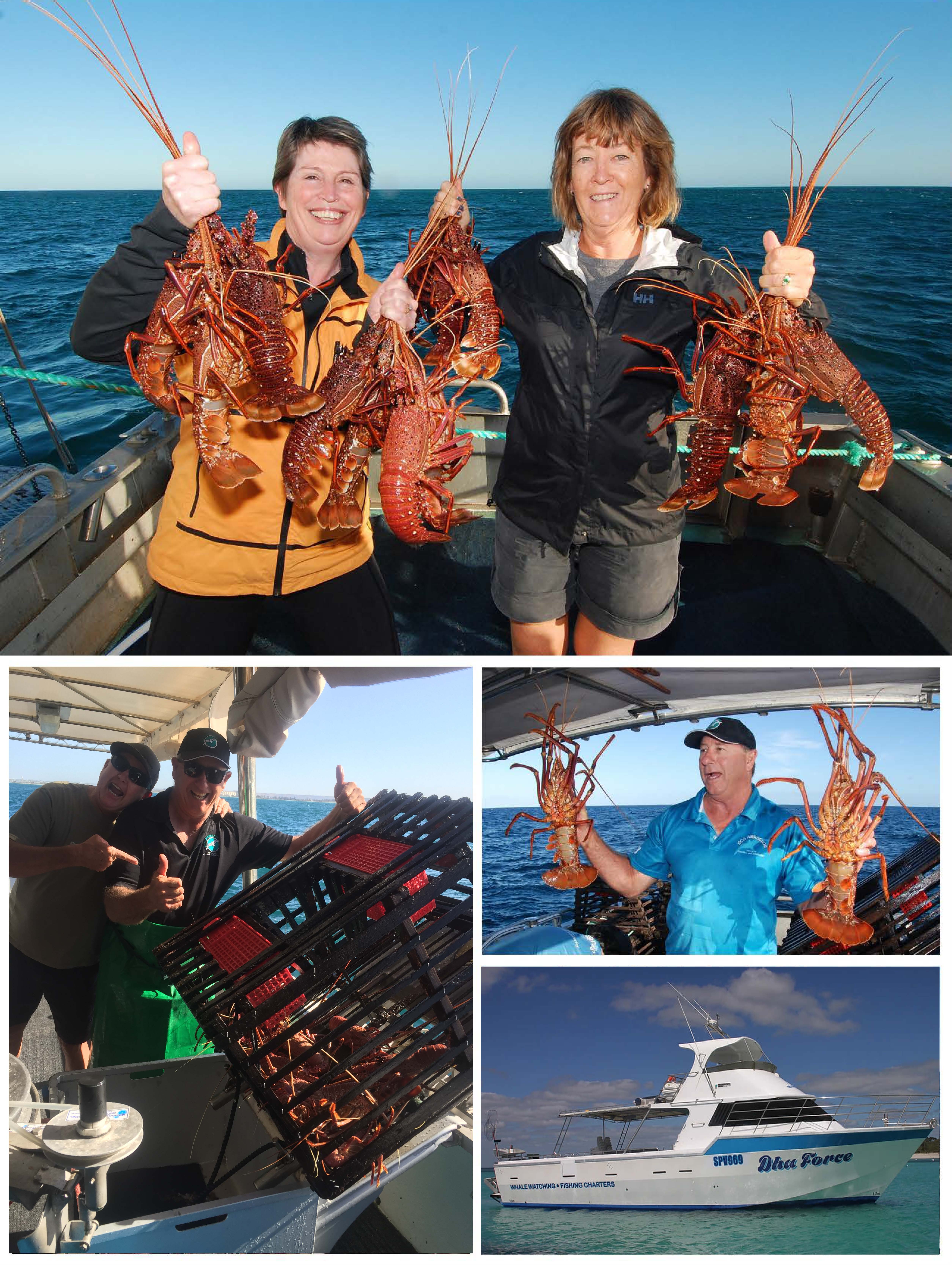 Geraldton Lobster Pot Pull
