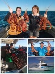Geraldton Lobster Pot Pull including lunch - Cruise Day Only