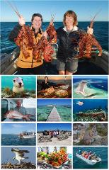 Abrolhos Islands 4 Day Tour - Main Deck King Deluxe Stateroom Cabin 25 