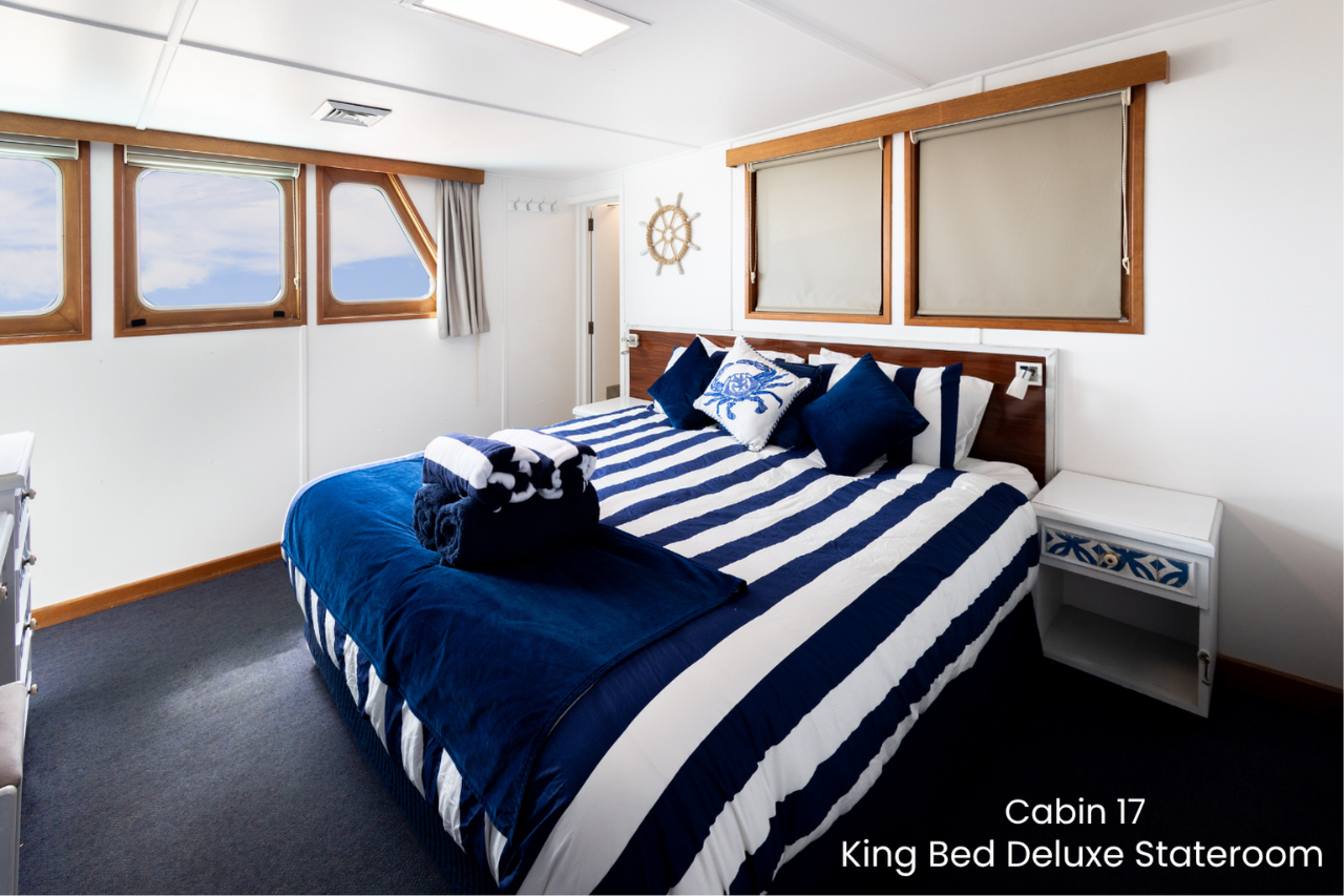 Cabin 17 - King Bed Deluxe Stateroom on the Bridge Deck - Abrolhos Islands Cruise - Fly out & Boat back