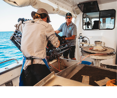 Geraldton Lobster Pot Pull Tour