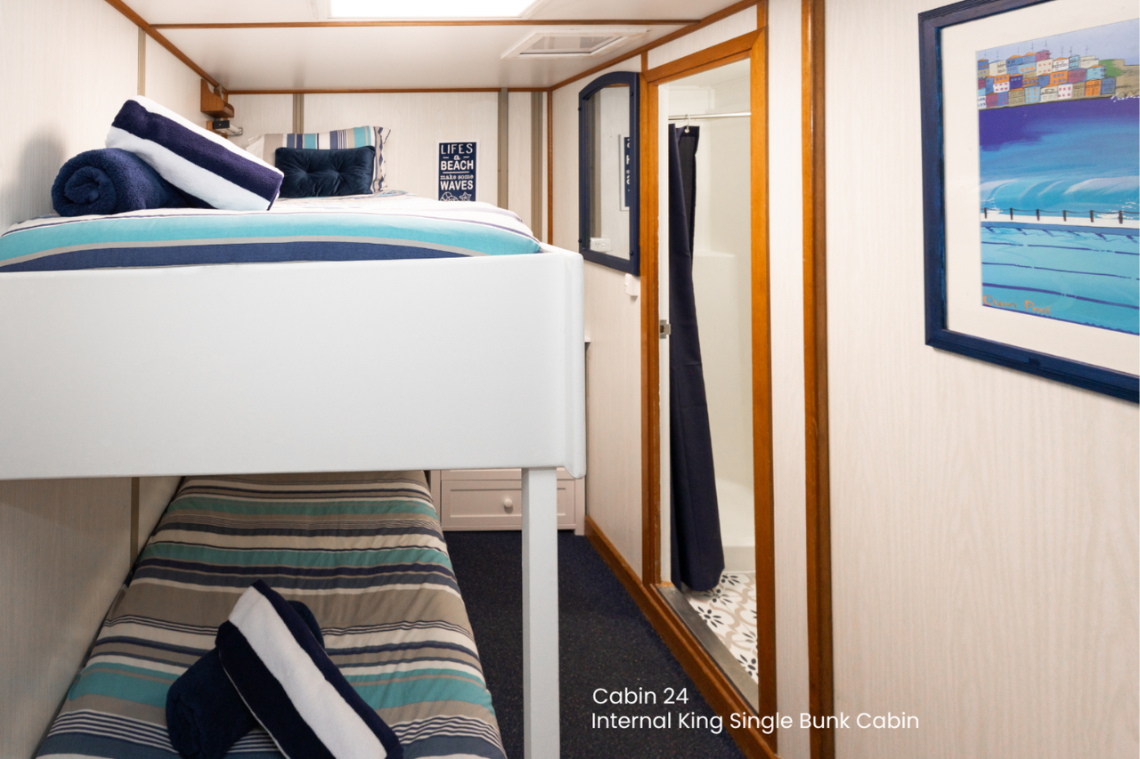 Cabin 24 - Wyndham to Broome - King Single Internal Bunk Cabin on the Main Deck - Kimberley 13 Night Adventure Cruise