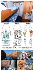 Cabin 33 - Broome to Wyndham - Single Bunk Cabin on the Lower Deck - Twin Share - Kimberley 13 Night Adventure Cruise - Agent