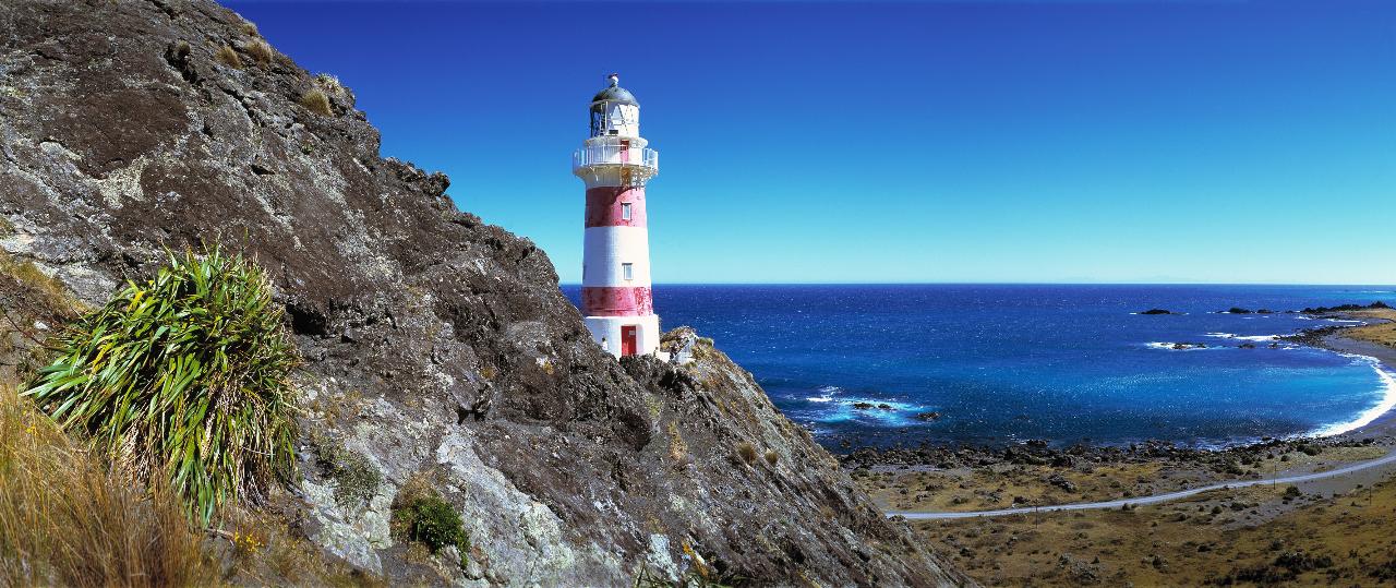 Palliser Bay - off the beaten track