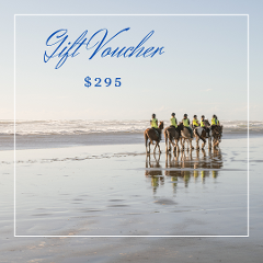 Gift Card $295