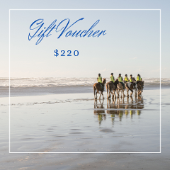 Gift Card $220 (1 person for 2 hours)