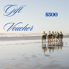 Gift Card $500 