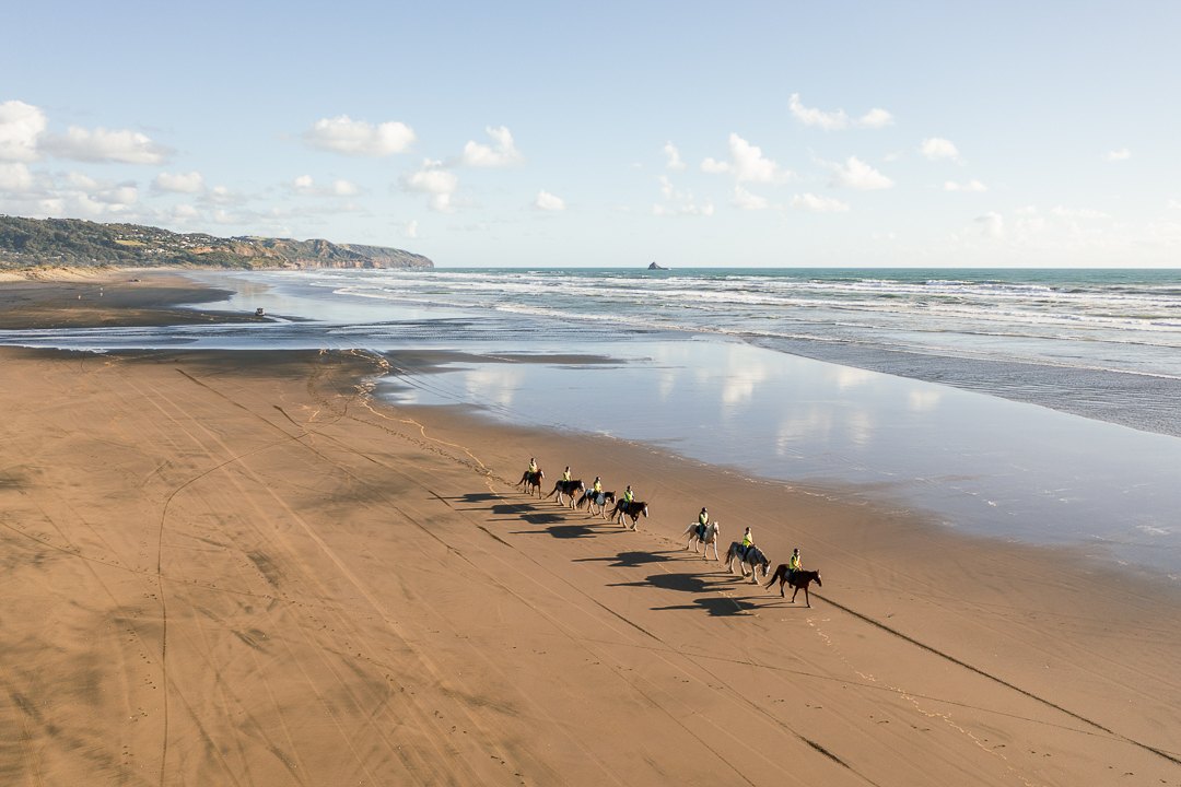 Muriwai Beach & Forest Horse Trek 2 hours 