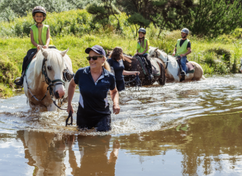 Gift Card - Adult Riding Lessons 10 x 2 hour sessions 