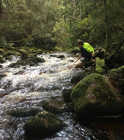 Experience…”Lost Mines – Ancient Pines” Tasmania Australia