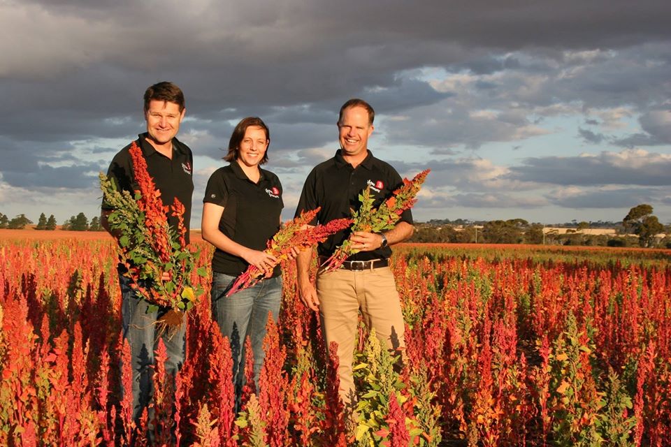 Virtual Tasting: Whipper Snapper local grains and bourbon style with James McKeown