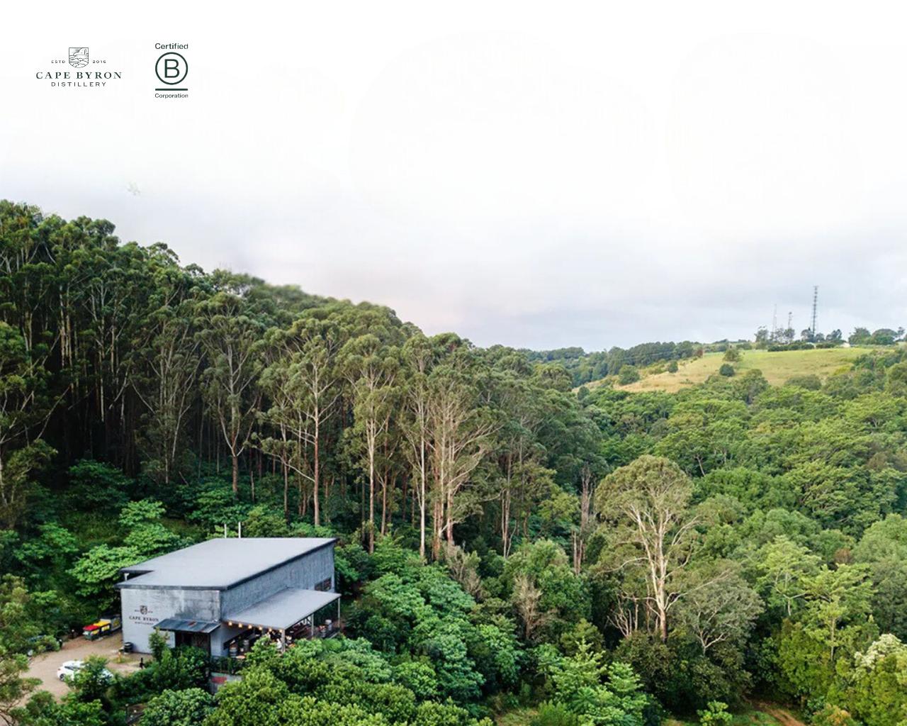 Summer dramming with Cape Byron distillery, where rainforest meets the sea