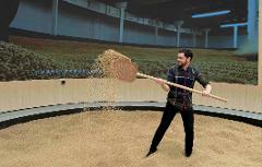 Laizhou distillery trip: The big picture of Chinese whisky