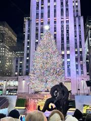 3H30 - Spécial Noel  - A la découverte de l'ambiance de Noël à Manhattan !